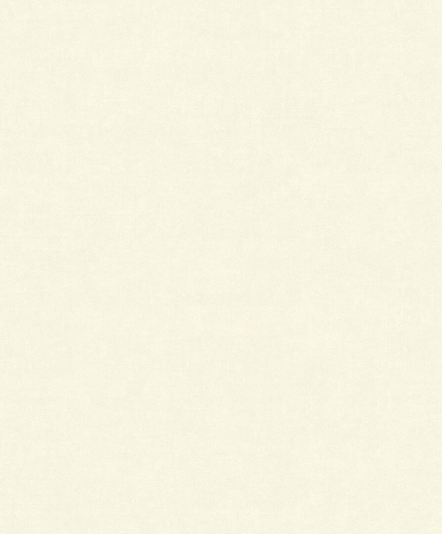 Tapeta strukturalna winylowa Casadeco RIVI 88700012 Empreinte Riverside 4