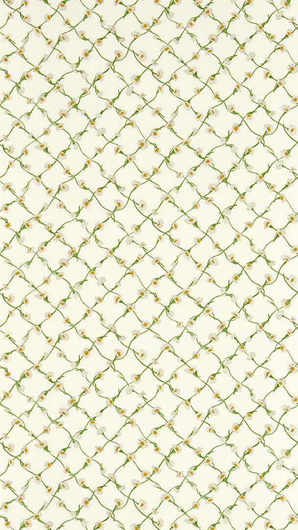 Tapeta stokrotkowy treliaż Harlequin 113043 Daisy Trellis Sophie Robinson