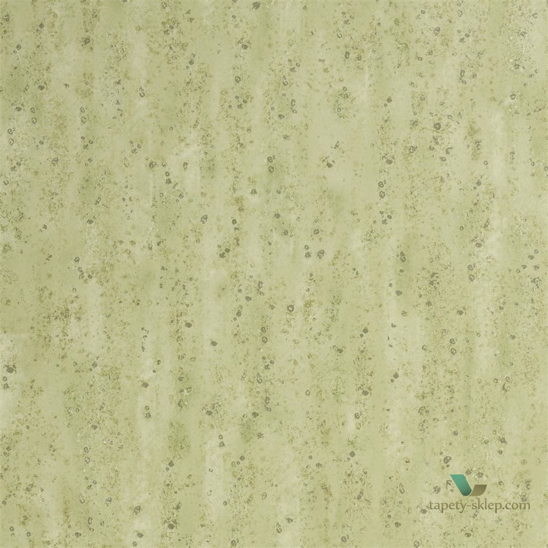 Tapeta Designers Guild PDG1063/05 Shirakawa Zardozi