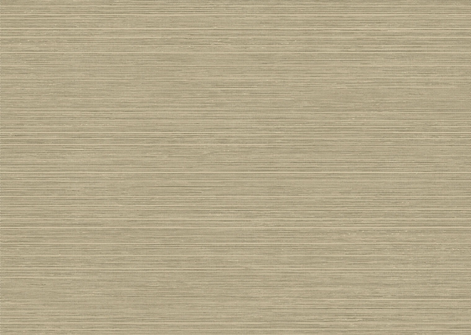 Tapeta imitująca włókna sizalu Arte Le Sisal 26704 Les Naturels Essentials