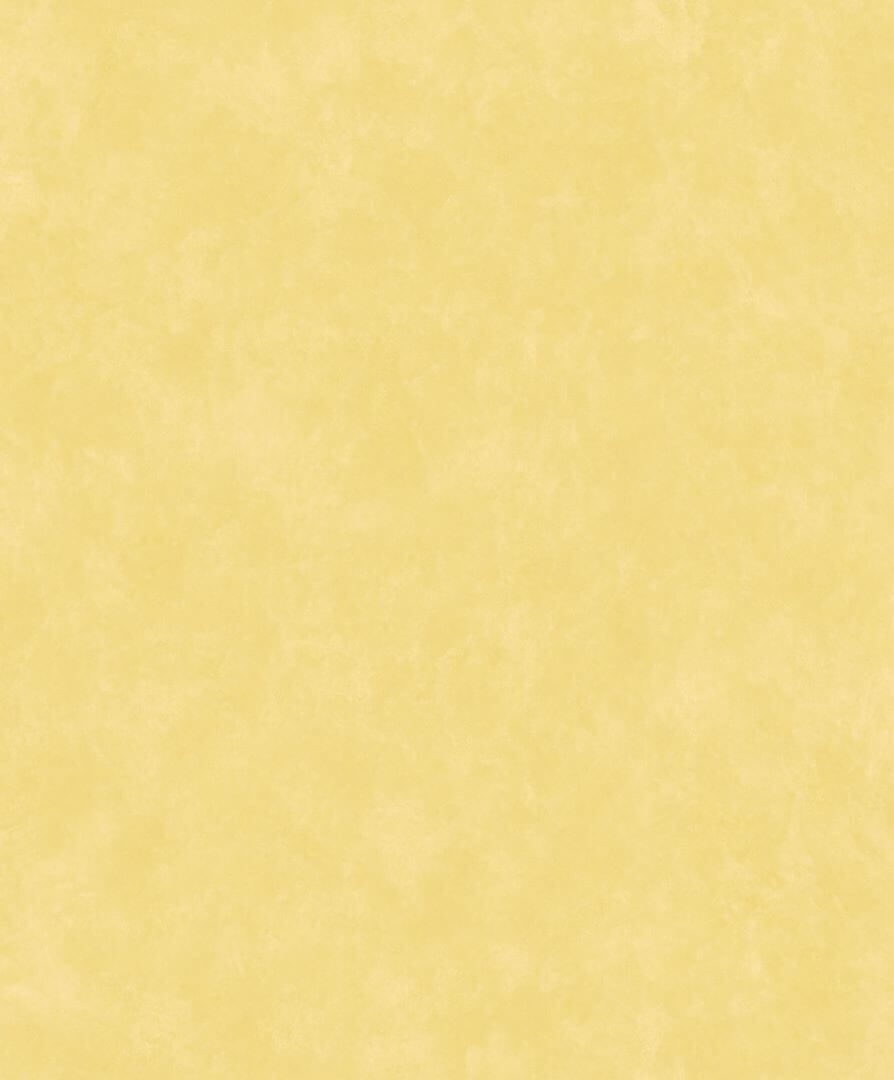 Tapeta minimalistyczna Casadeco ECHA 89852303 Vallauris Echappee Belle