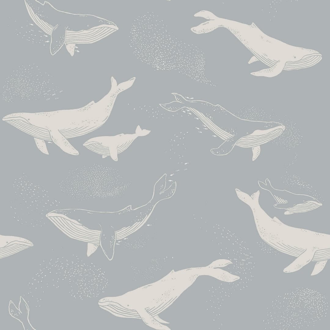 Tapeta wieloryby Newbie II 6942 Whales