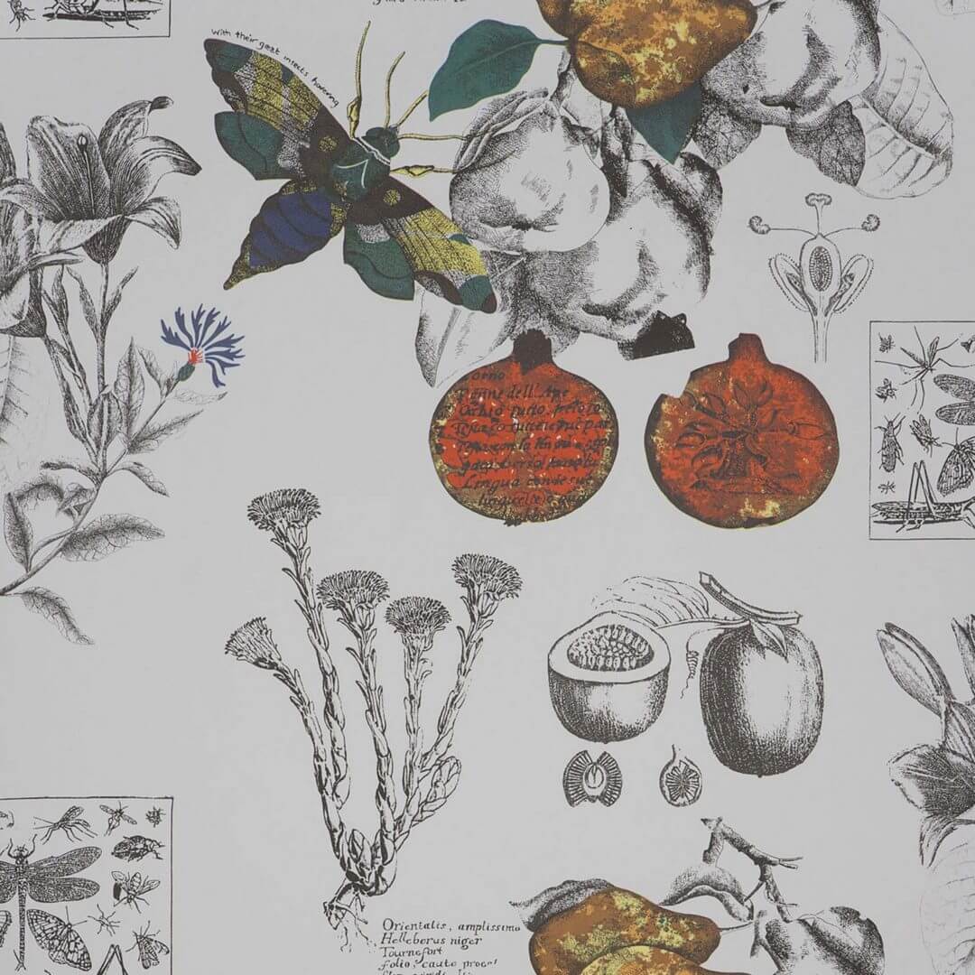 Tapeta botaniczna vintage Gastón y Daniela GDW-4848-001 LINNEO Origen Dos