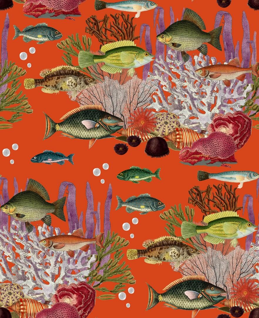 Tapeta ryby Gastón y Daniela GDW-5663-002 CORALES Origen Dos