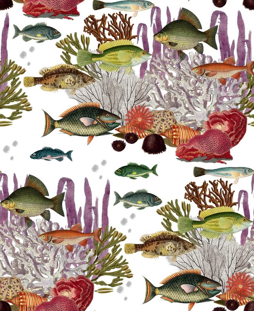 Tapeta ryby Gastón y Daniela GDW-5663-003 CORALES Origen Dos