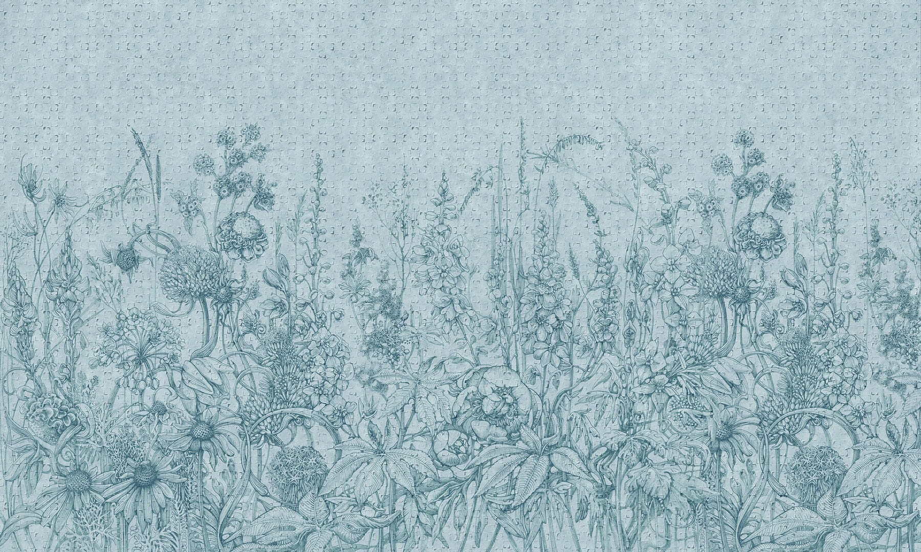 Fototapeta łąka Wonderwall Daisy 35030203