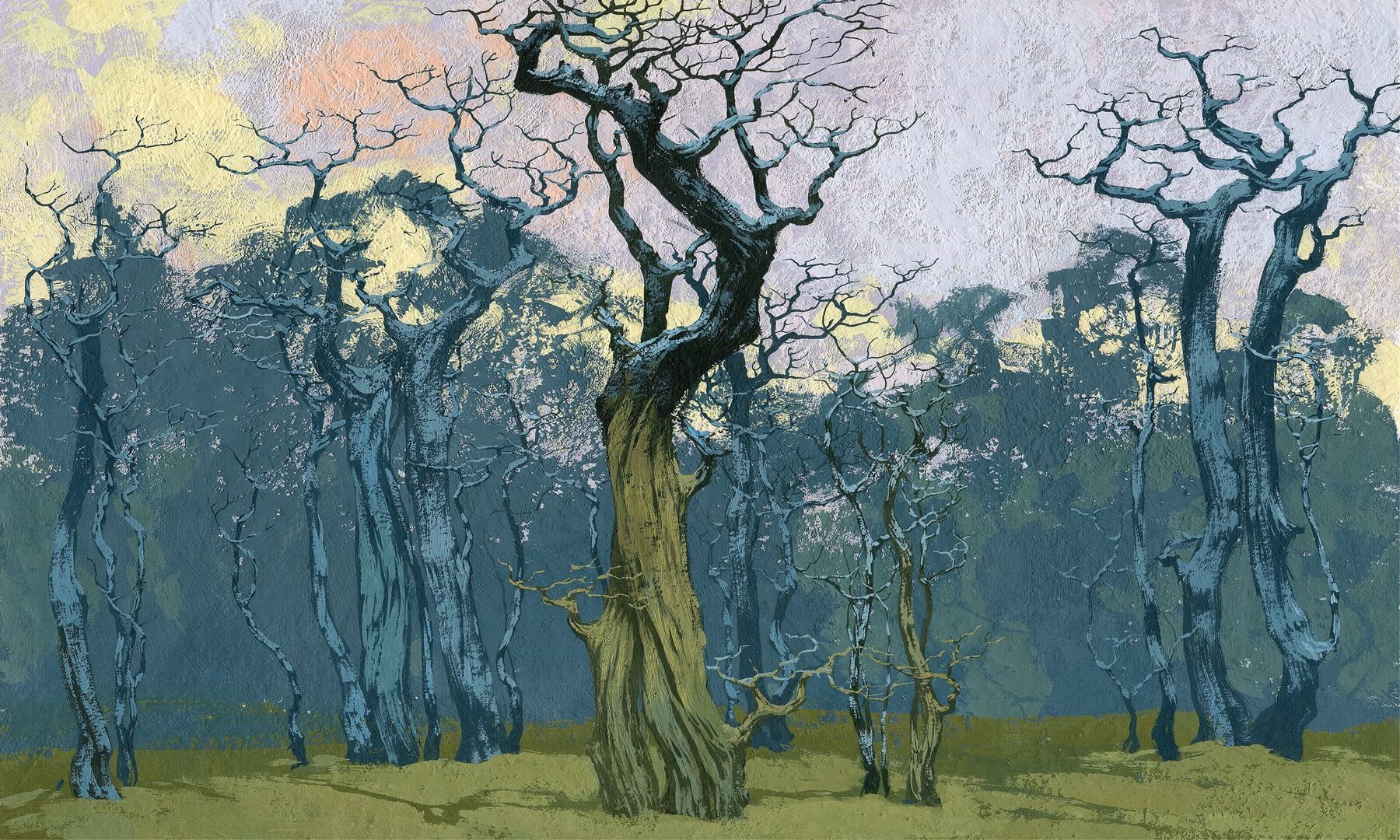 Fototapeta drzewa Wonderwall Fangorn 35055803