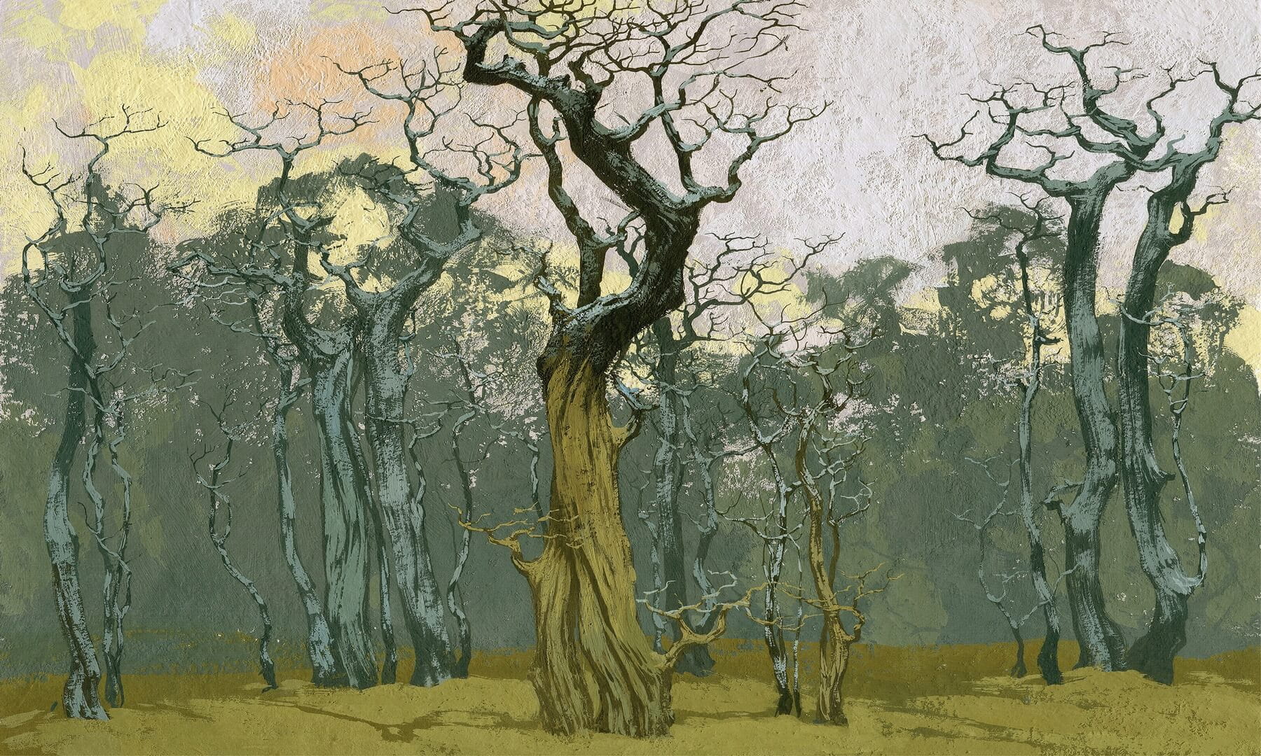 Fototapeta drzewa Wonderwall Fangorn 35055808
