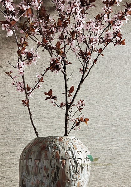 Tapeta Thibaut T57190 Arrowroot Texture Resource 5