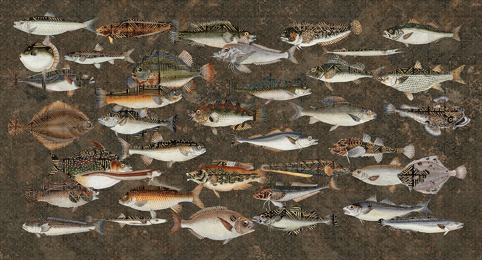 Fototapeta ryby Muance MU15061 Underwater Lush