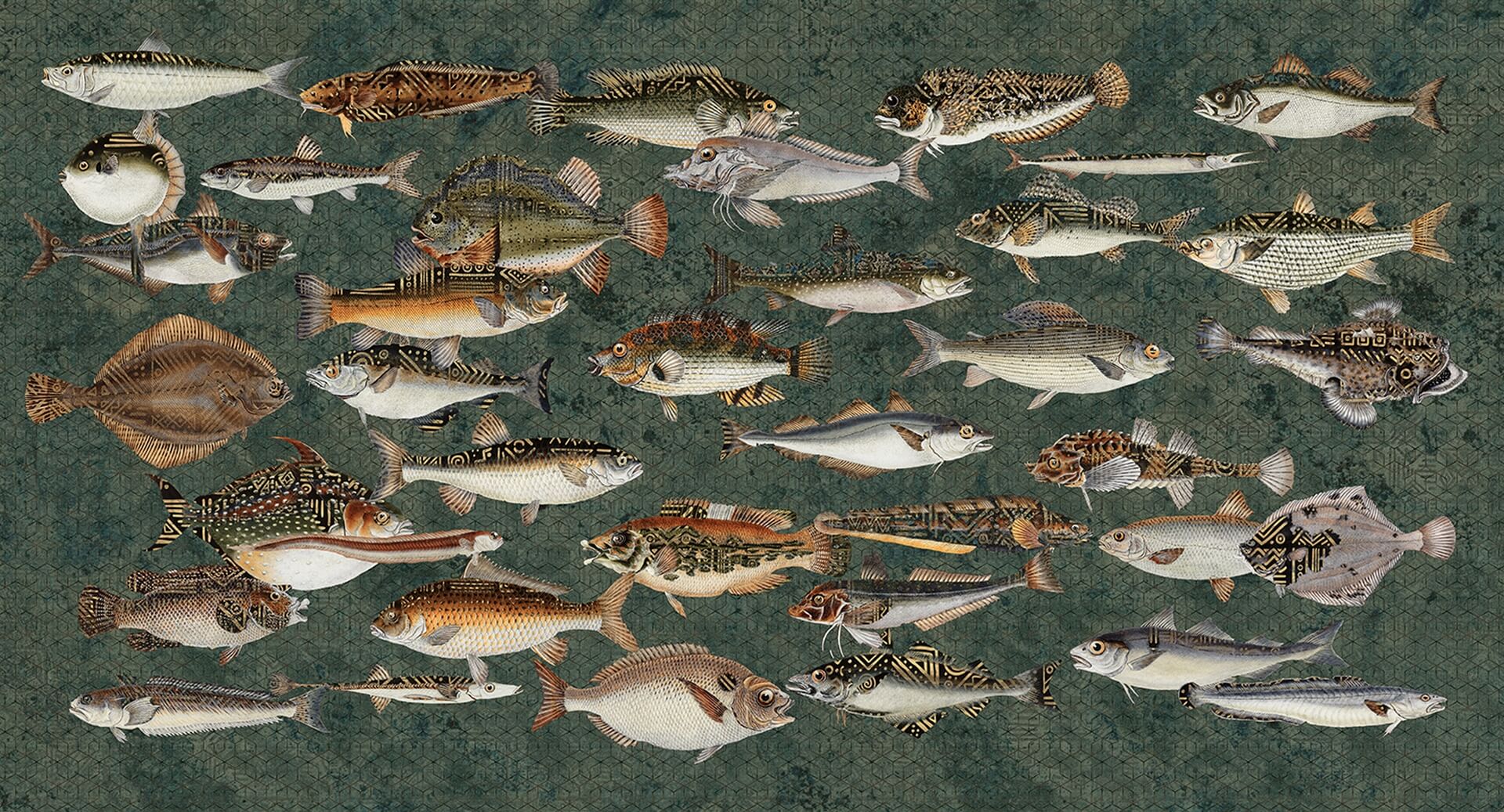 Fototapeta ryby Muance MU15062 Underwater Lush