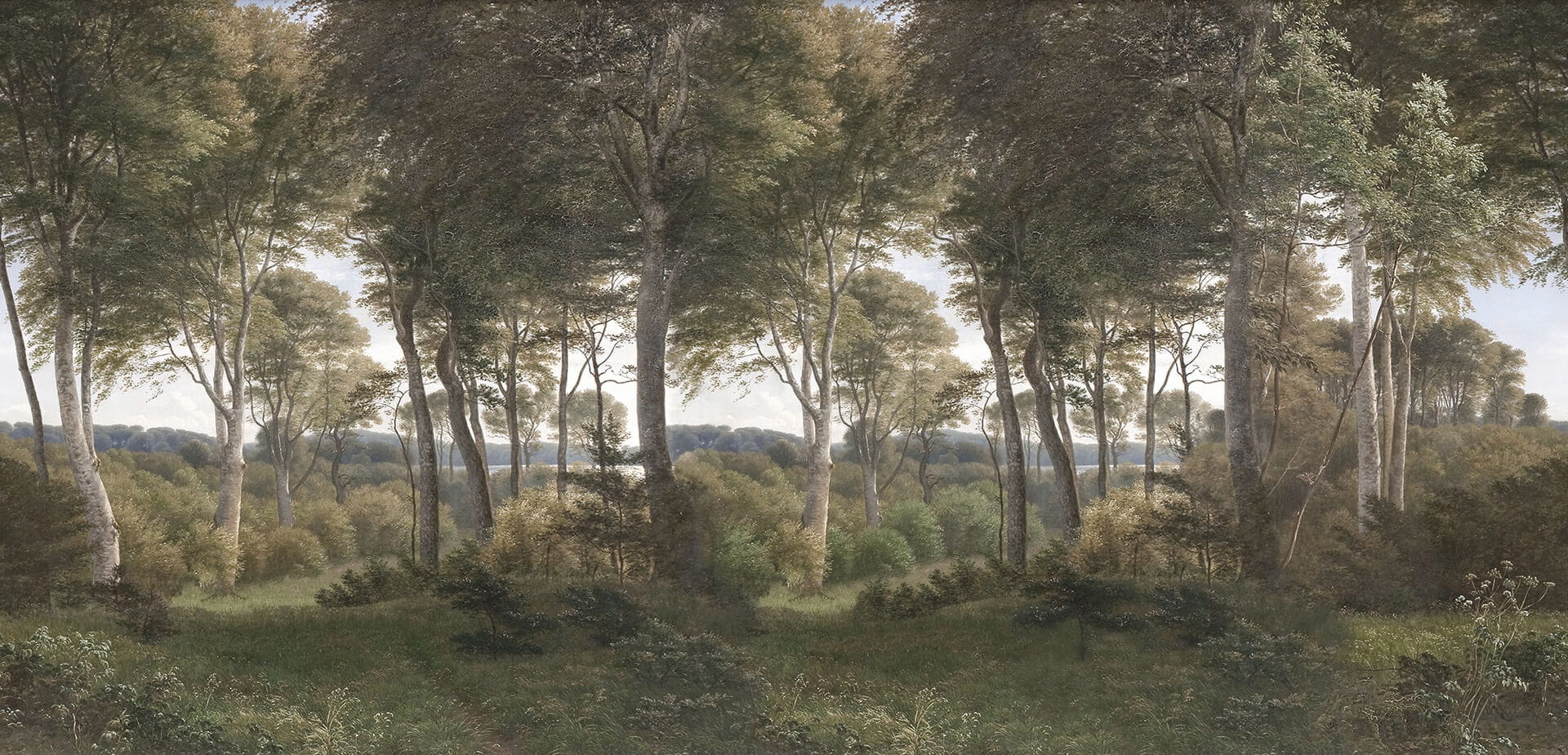 Fototapeta krajobraz lasu Rebel Walls R18807 Danish Forest Morning Scenic Landscapes