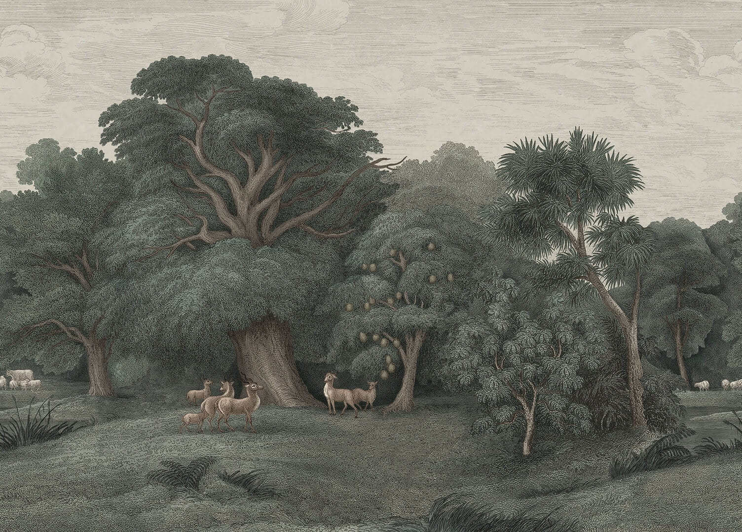 Fototapeta krajobraz dżungli Rebel Walls R18811 Jungle Forest Dark Scenic Landscapes