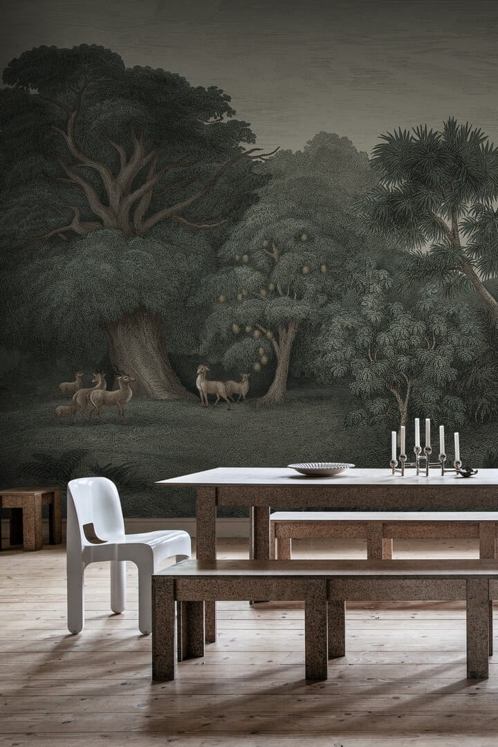 Fototapeta krajobraz dżungli Rebel Walls R18811 Jungle Forest Dark Scenic Landscapes