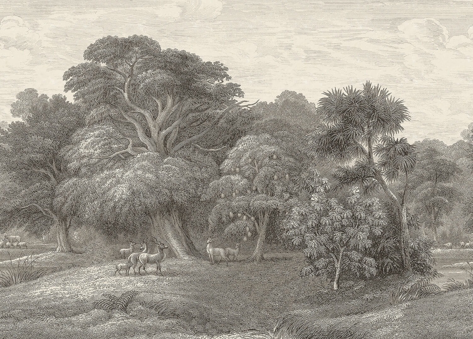 Fototapeta krajobraz dżungli Rebel Walls R18813 Jungle Forest Beige Scenic Landscapes