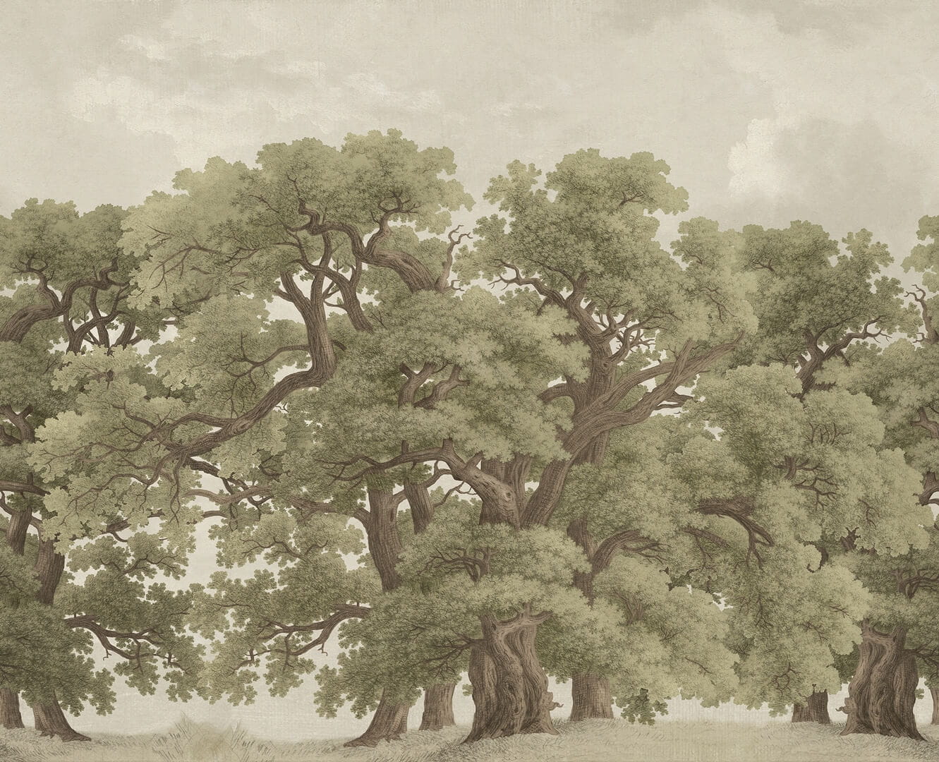 Fototapeta krajobraz dębów Rebel Walls R18820 Vintage Oaks Spring Scenic Landscapes