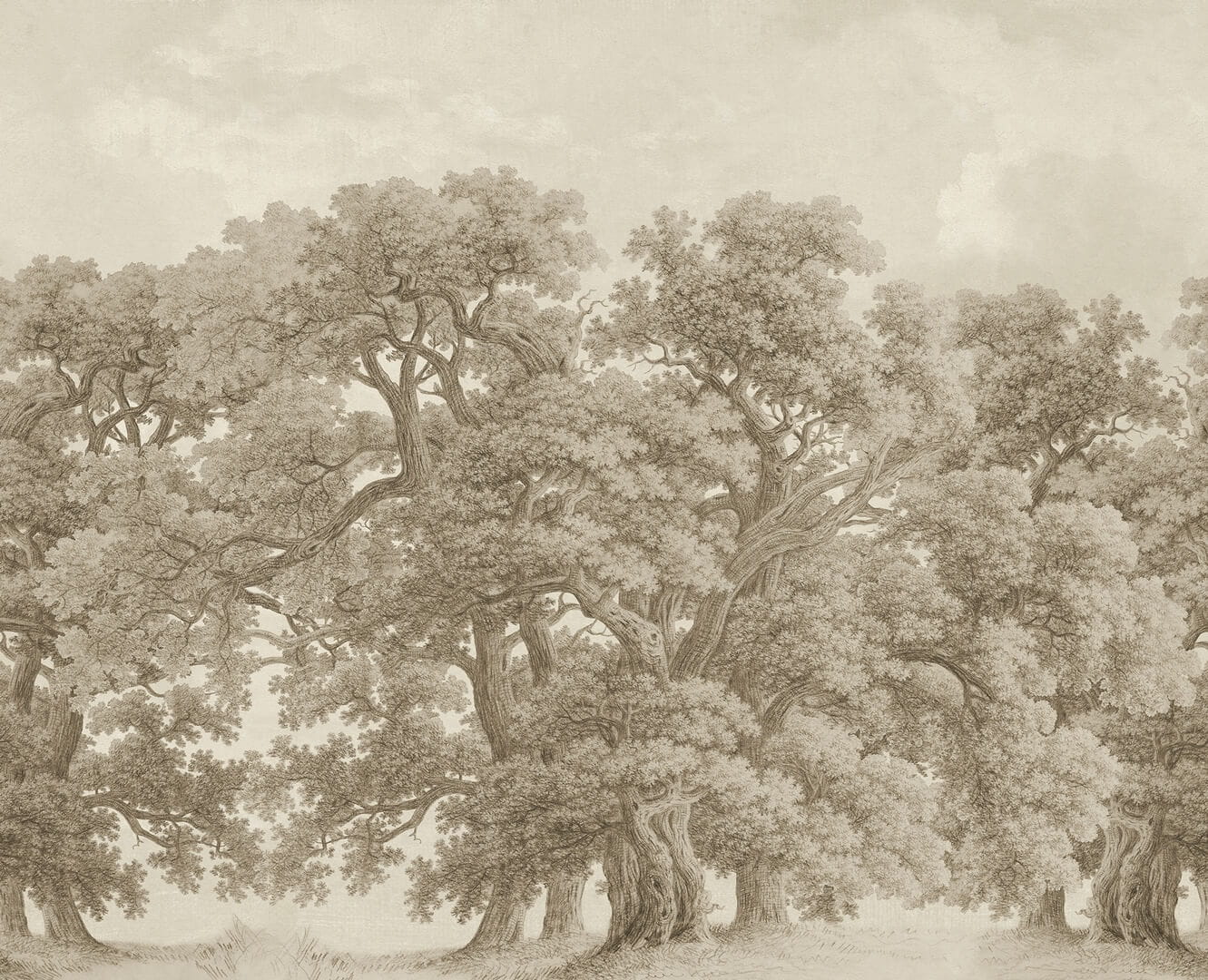 Fototapeta krajobraz dębów Rebel Walls R18821 Vintage Oaks Beige Scenic Landscapes