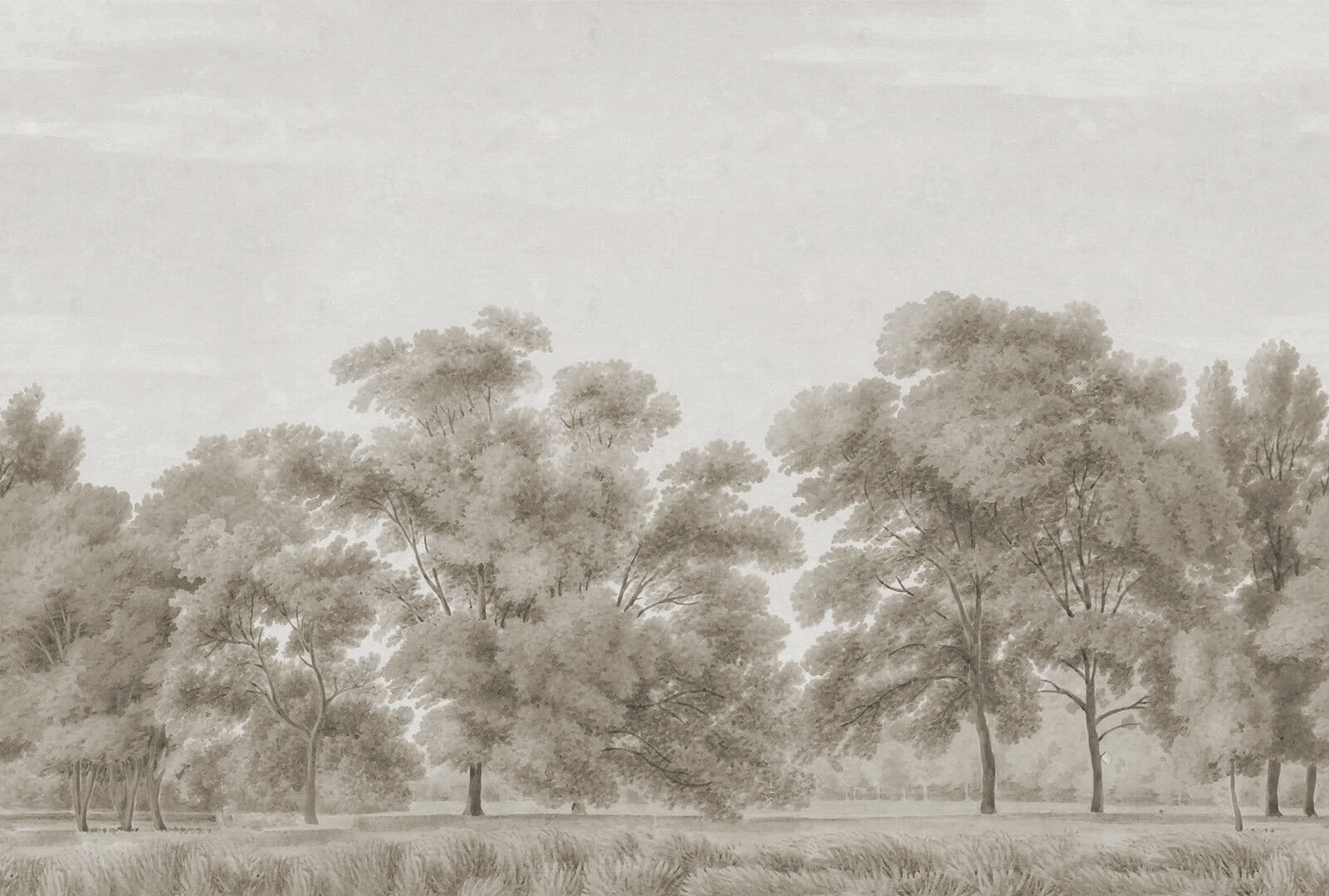 Fototapeta krajobraz skandynawskiego lasu Rebel Walls R18827 Whispering Forest Beige Scenic Landscapes