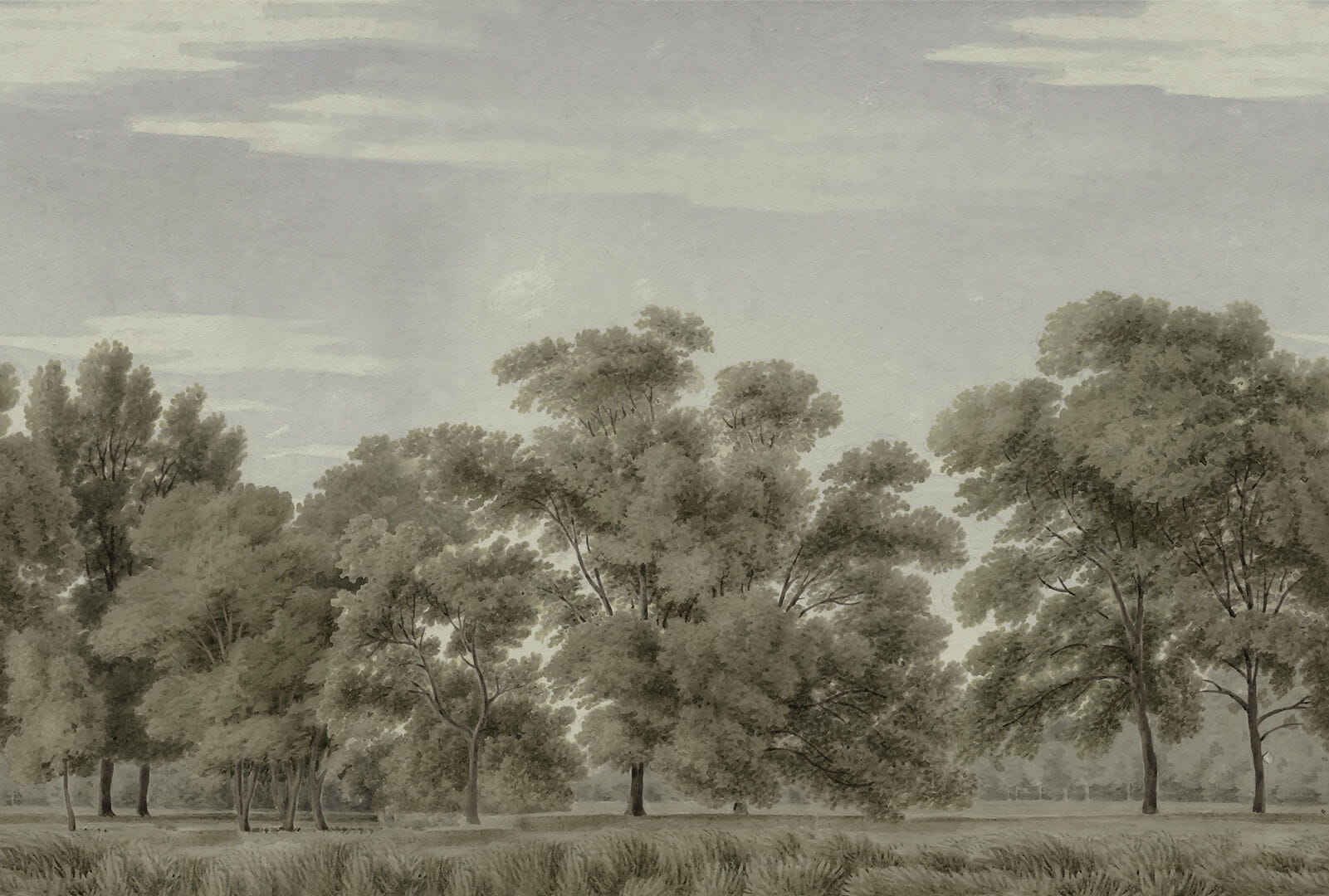 Fototapeta krajobraz skandynawskiego lasu Rebel Walls R18829 Whispering Forest Green Scenic Landscapes