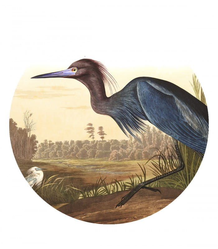 Mural okrągły ptak Dots Bird Grass 8690 Wallcolors