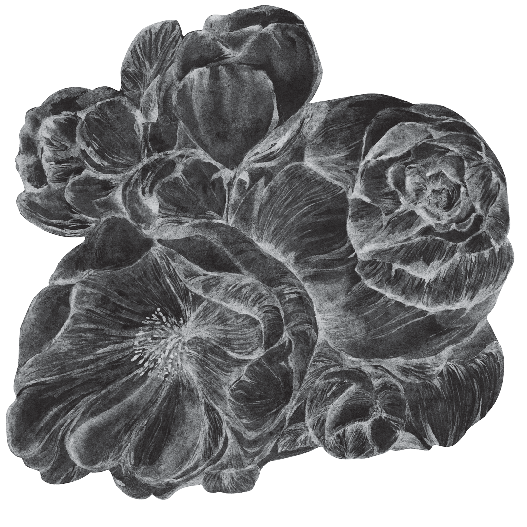 Mural kwiaty Wall Art Brassica Dark Koło