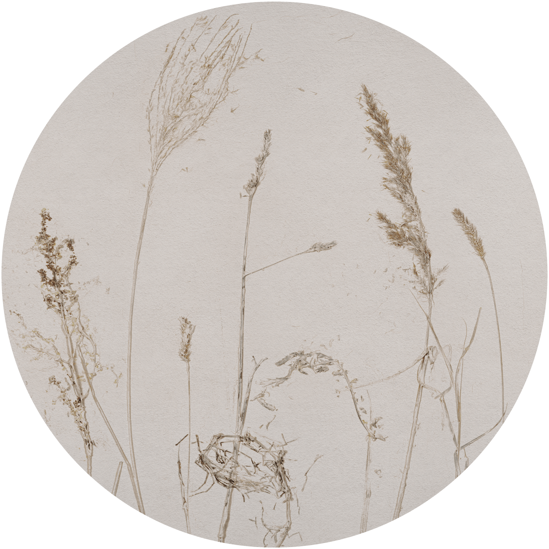 Mural okrągły źdźbła owsa Wall Art Campo Di Avena Koło
