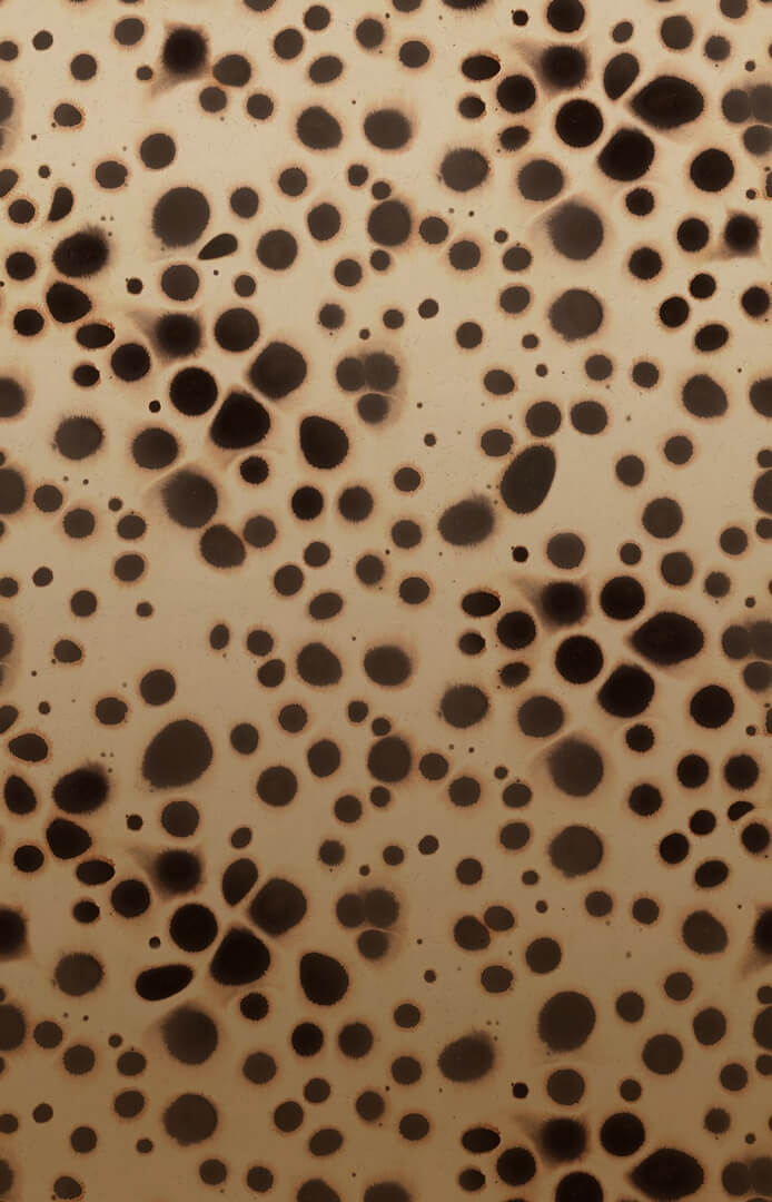 Fototapeta artystyczne kropki Rebel Walls R19825 Spotted Puffer Animal Anna Norrman