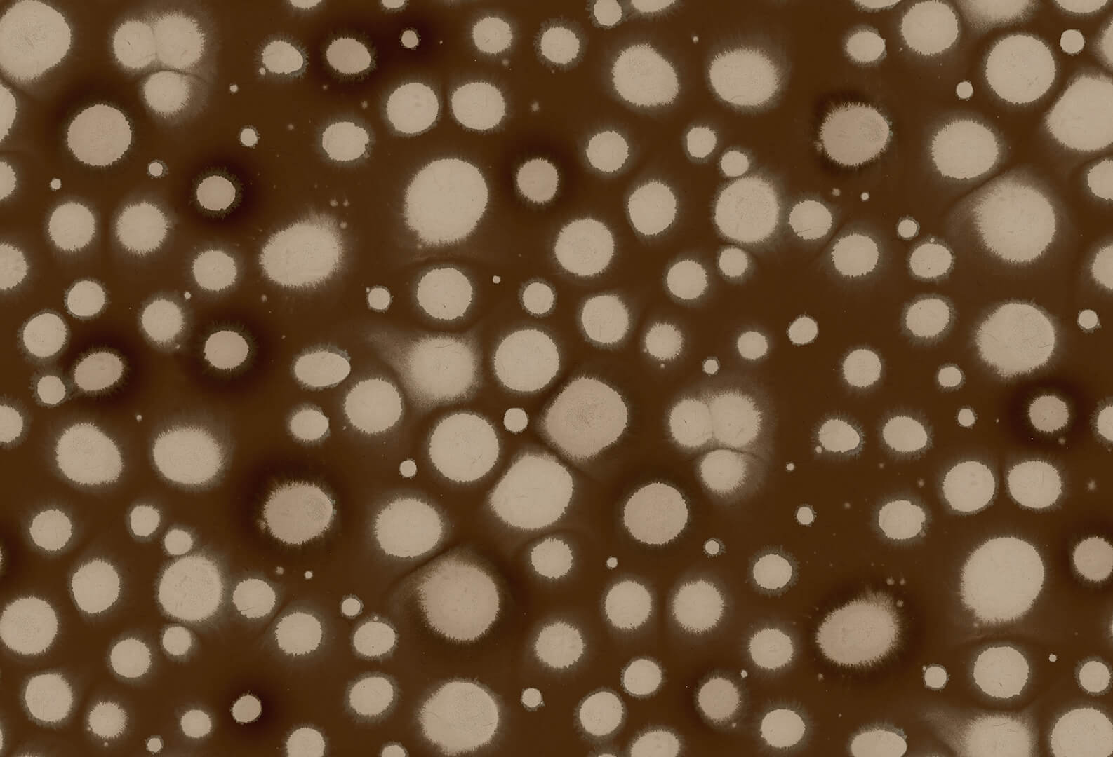Fototapeta artystyczne kropki Rebel Walls R19826 Spotted Puffer Brown Anna Norrman