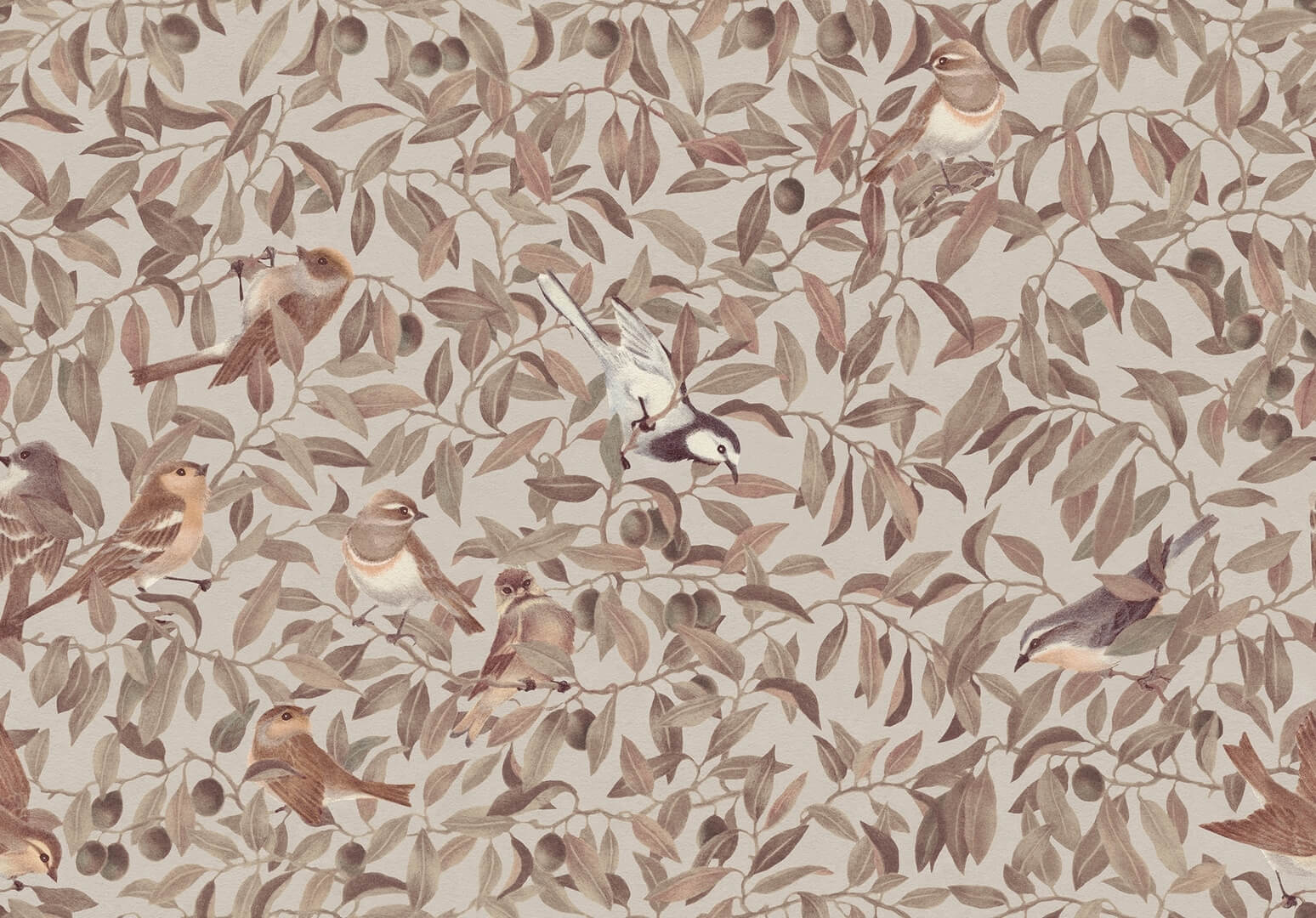 Fototapeta ptaki i liście Rebel Walls R19261 Backwood Birds Brown Ilon Wikland