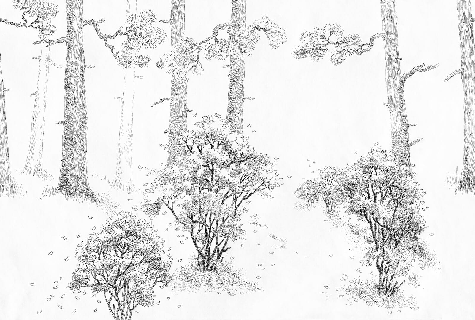 Fototapeta las Rebel Walls R19839 Forest Memories Graphite Ilon Wikland