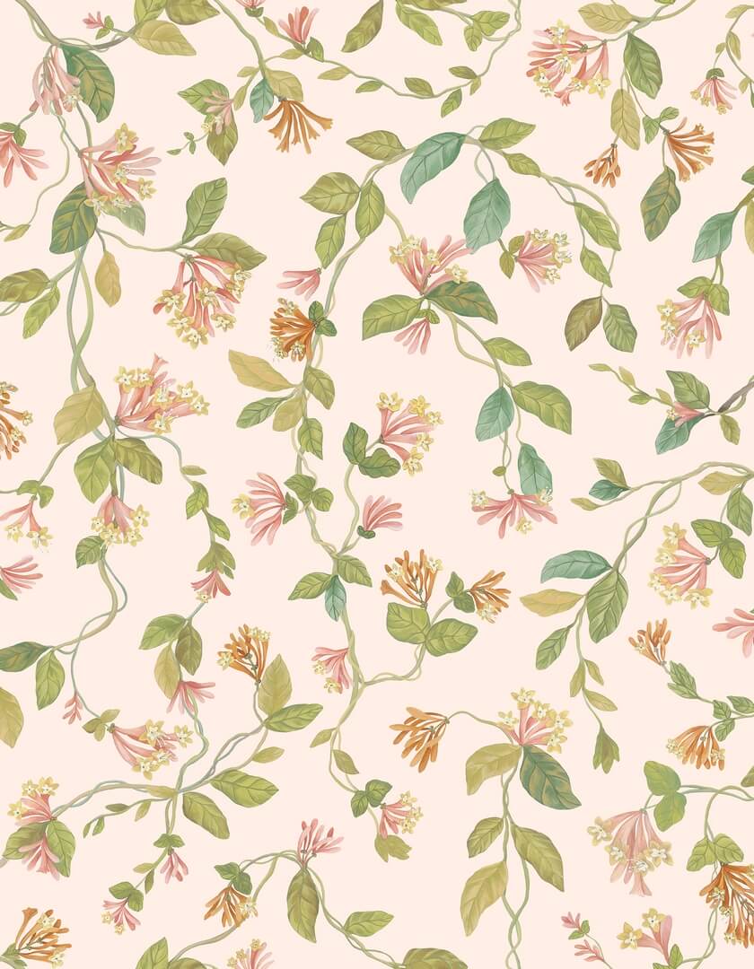 Tapeta roślinne pnącza Cole & Son Flora 124/3016 Selection of Hummingbirds