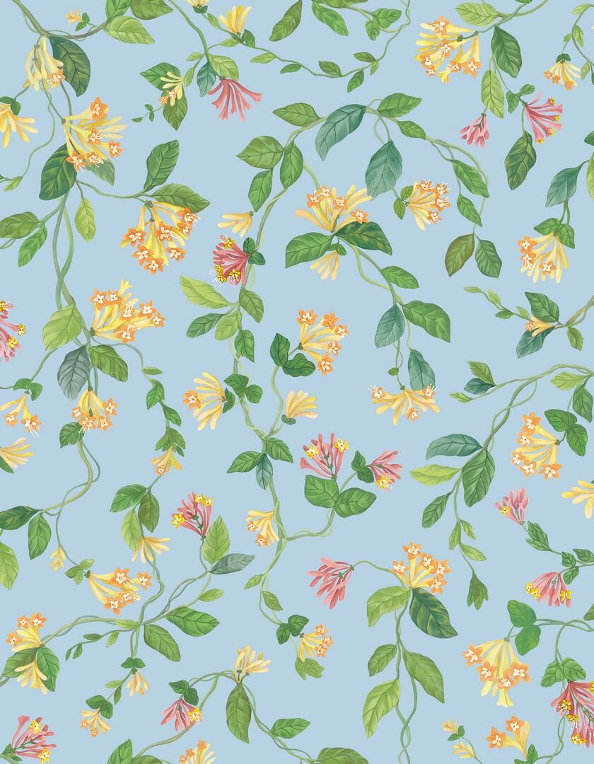 Tapeta roślinne pnącza Cole & Son Flora 124/3018 Selection of Hummingbirds