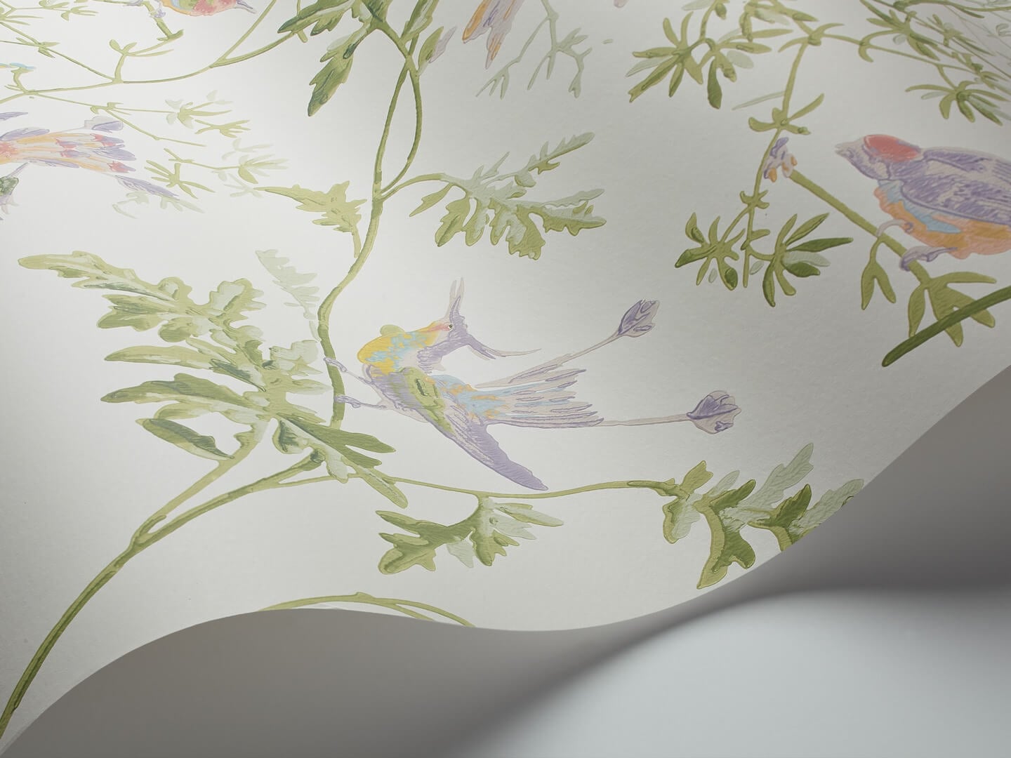 Tapeta ptaki Cole & Son Hummingbirds 100/14067 Selection of Hummingbirds