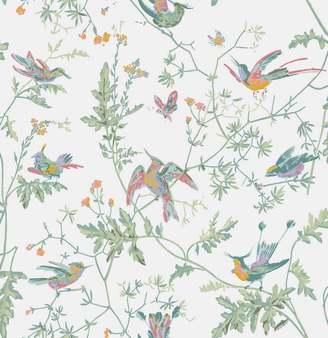 Tapeta ptaki Cole & Son Hummingbirds 112/4016 Selection of Hummingbirds