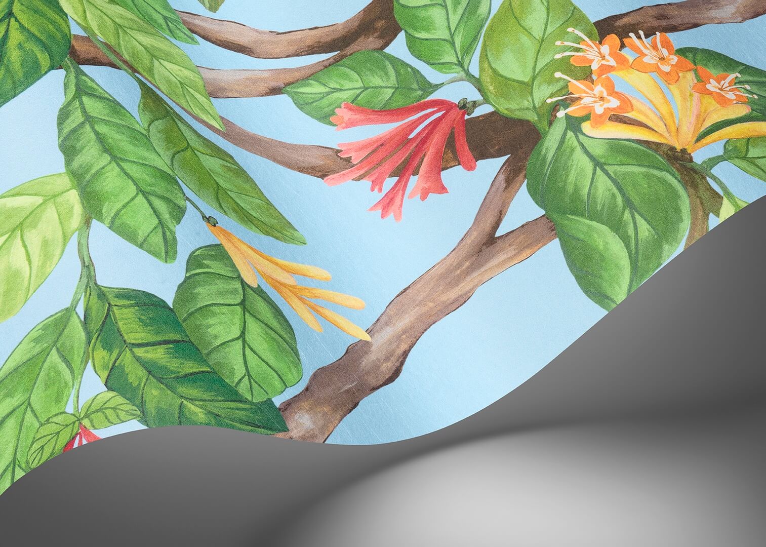 Mural botaniczny - pnącza roślin, ptaki i motyle Cole & Son Hummingbirds Flora 124/2011 Selection of Hummingbirds