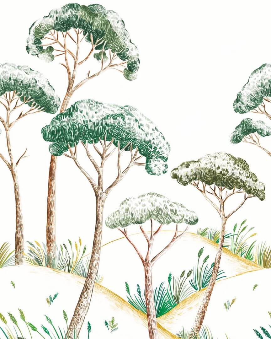 Mural sosnowe drzewa Caselio 105497003 M Pinea Azur