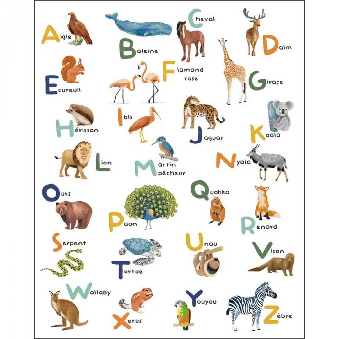 Mural abecadło i zwierzęta francuski Caselio MNM 105672303 M Apprenons L Alphabet Les Minis Mondes
