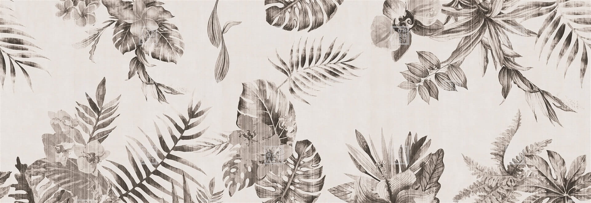 Fototapeta egzotyczne liście London Art 24007 1 Hung Up On A Dream Exclusive Wallpaper 2024