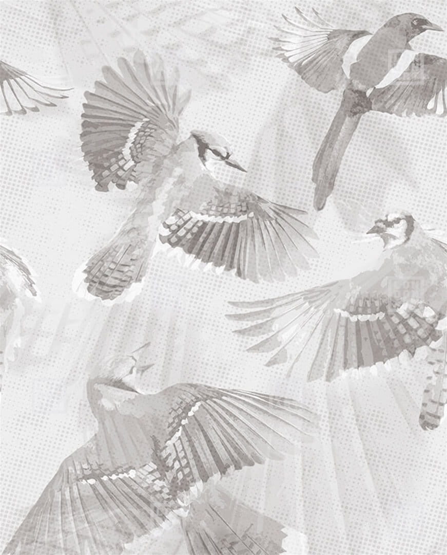 Fototapeta ptaki London Art 24046 1 Symphonia Exclusive Wallpaper 2024