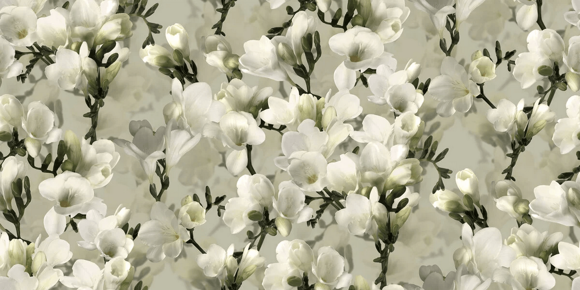 Mural kwiaty Boras Tapeter Studio 9551W White Lily