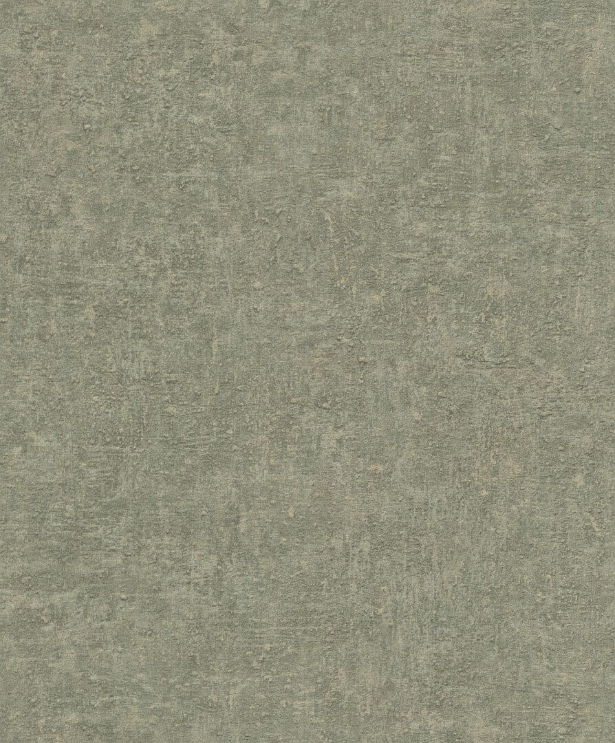 Tapeta przetarty beton Grandeco BZ1006 Belize