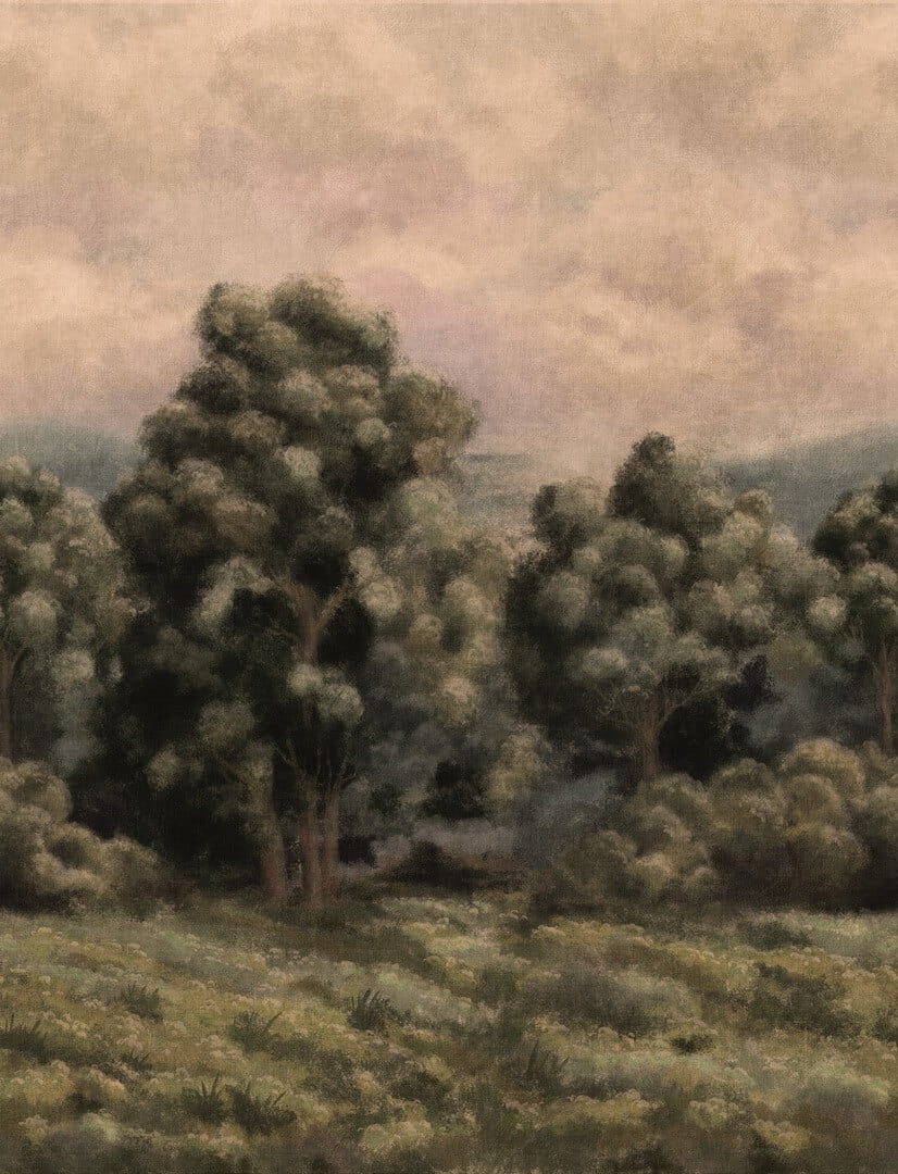 Mural krajobraz drzew Boras Tapeter Studio 9594W Misty Forest Garden Collection