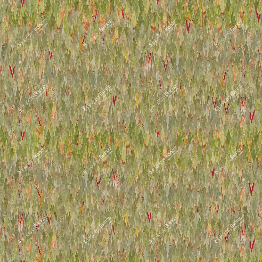 Fototapeta liście bambusa Inkiostro Bianco BAMBOO INKATOT2401 Flora Art Collection