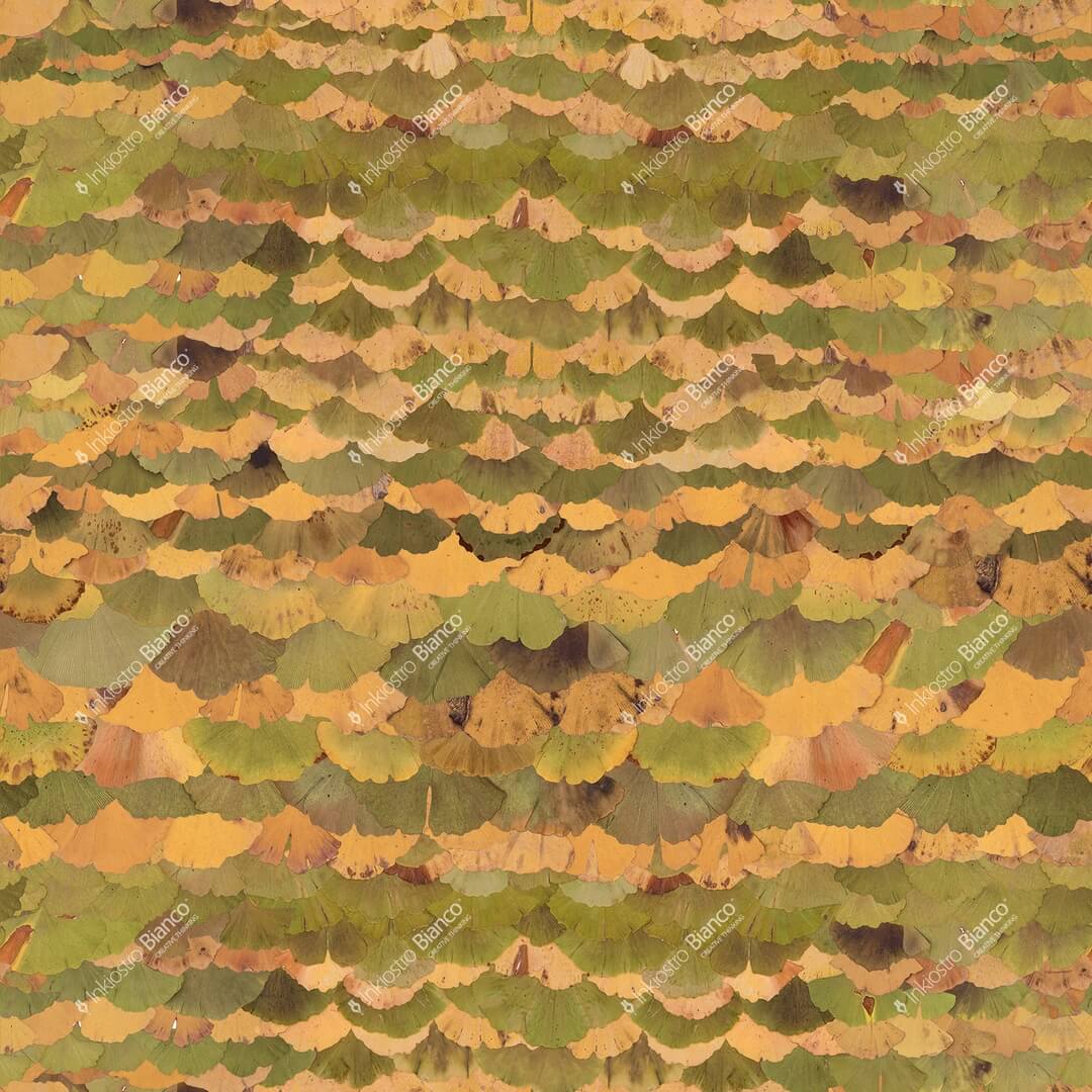 Fototapeta liście ginkgo biloba Inkiostro Bianco GINKO BILOBA INKRBSR2402 Flora Art Collection