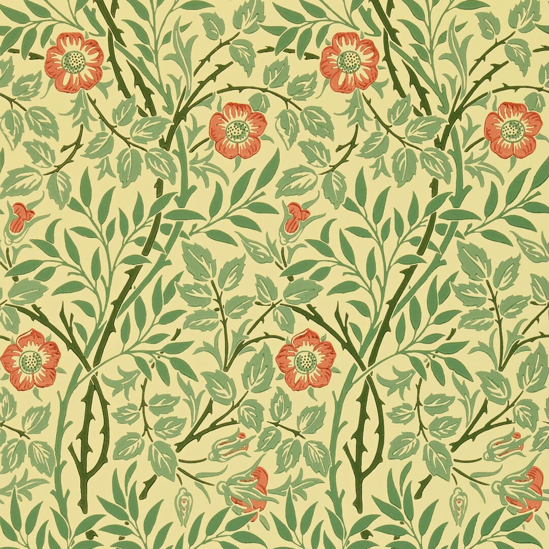 Tapeta pnącza róży Morris & Co. DMC130101 Sweet Briar Morris & Friends