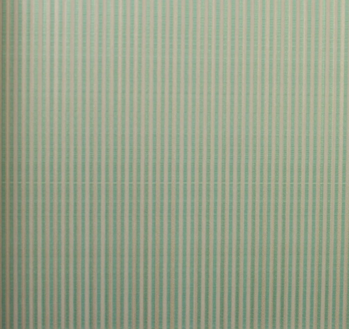 Mural cieniowany w paski Jannelli & Volpi 10570 Oleg Missoni Home 05