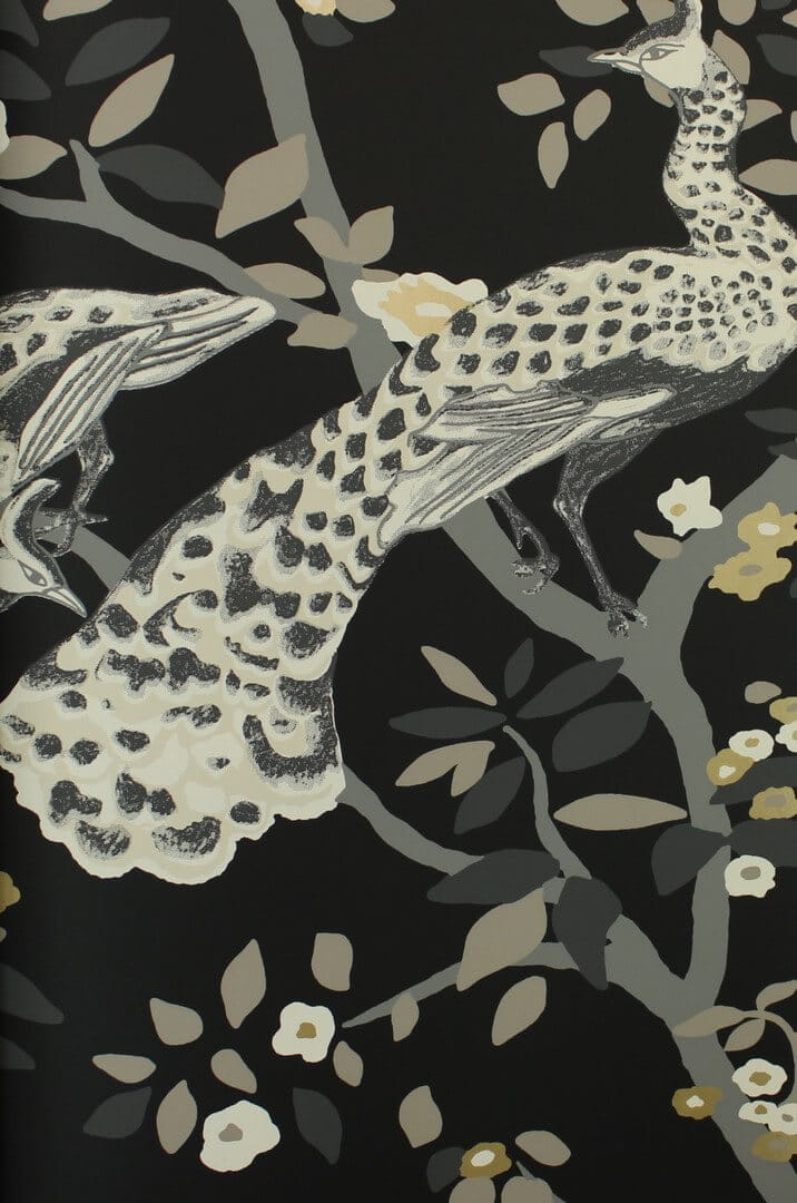 Tapeta botaniczna pawie York Wallcoverings BW3802 Plume Black & White