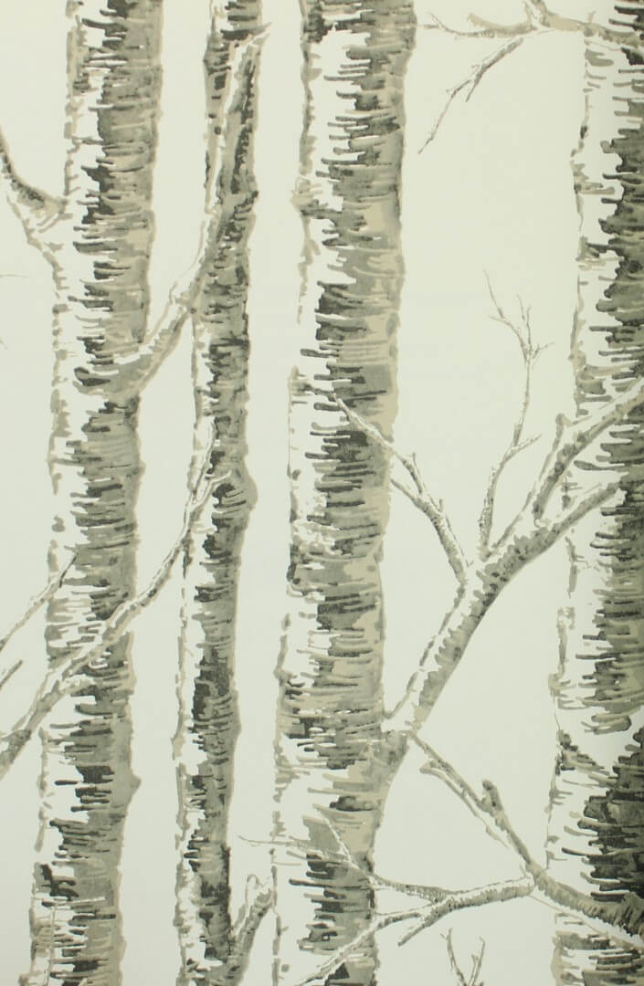 Tapeta brzozy York Wallcoverings BW3901 Paper Birch Black & White