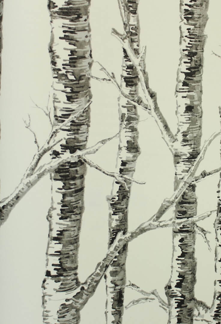 Tapeta brzozy York Wallcoverings BW3902 Paper Birch Black & White