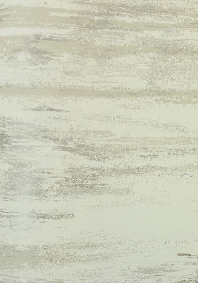 Tapeta abstrakcyjna York Wallcoverings BW3963 Birch Bark Texture Black & White